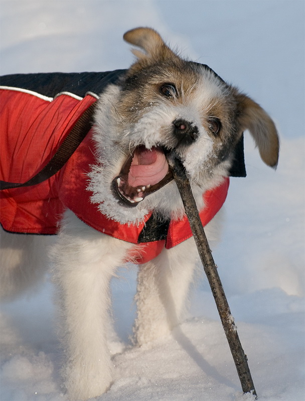 1 felix D35_3874 als Smart-Objekt-1 Kopie.jpg